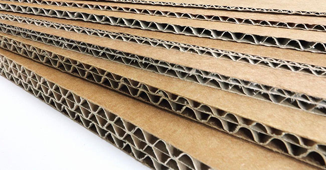 Giấy Carton là gì? Các loại giấy carton và ứng dụng