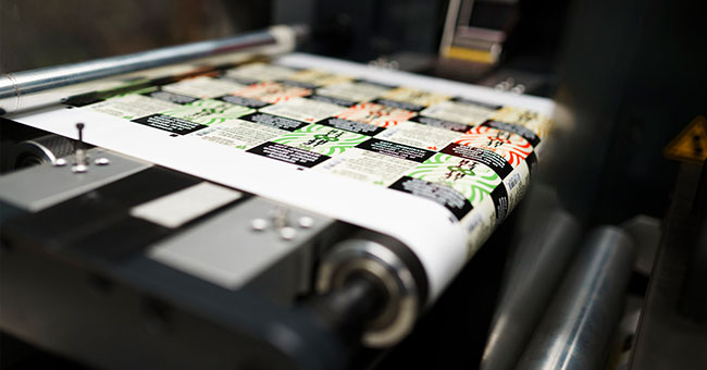 In flexo là gì? Thông tin cần biết về công nghệ in flexo